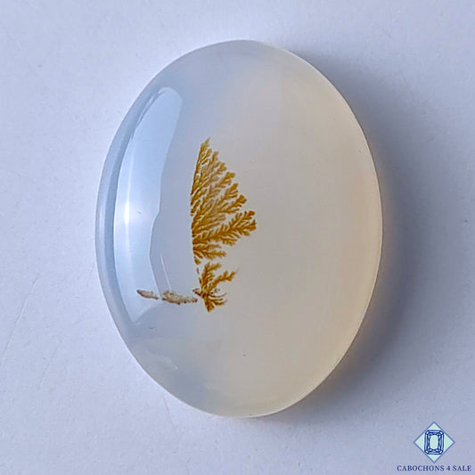 Scenic Agate