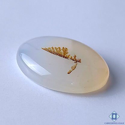 Scenic Agate