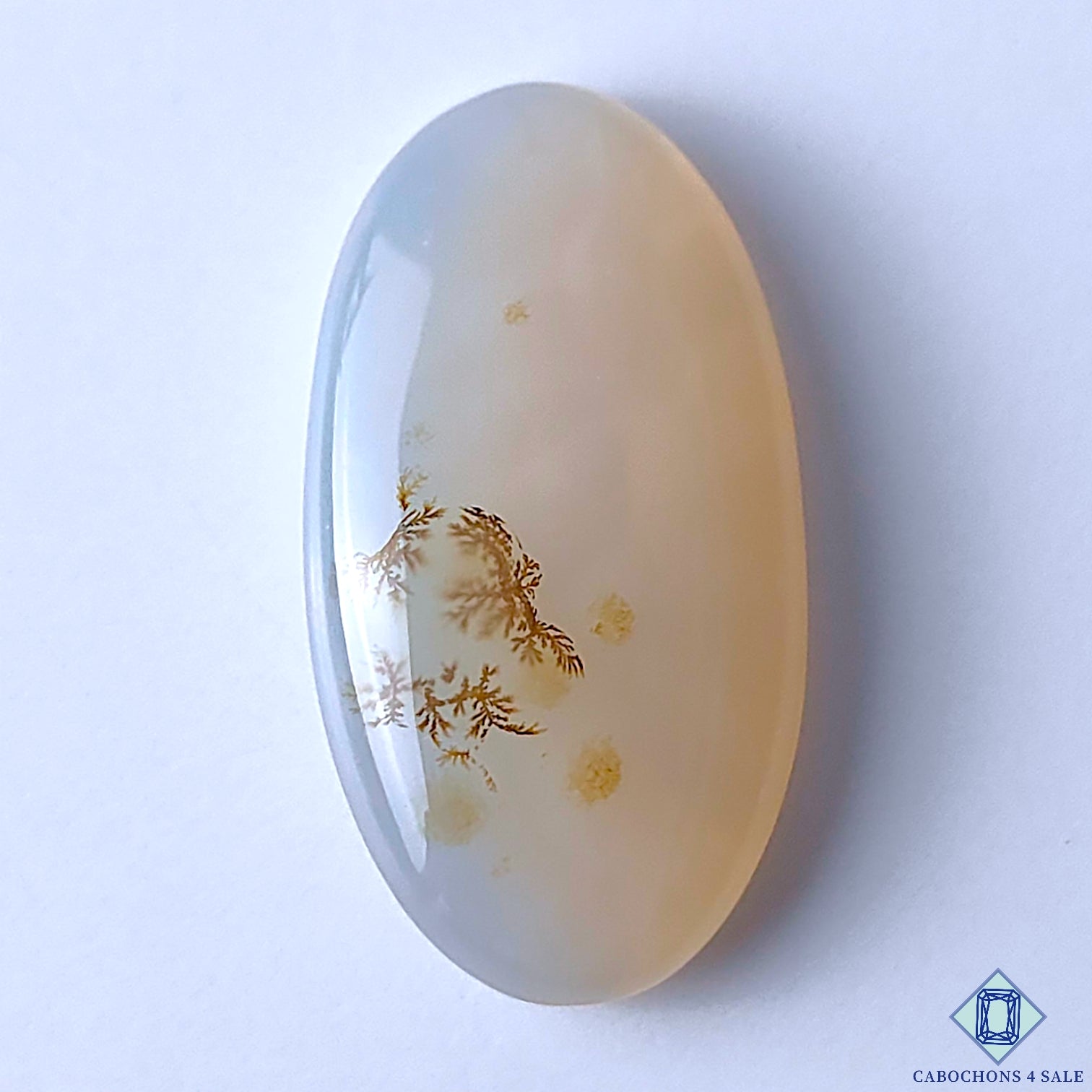 Scenic Agate