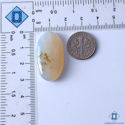 Scenic Agate