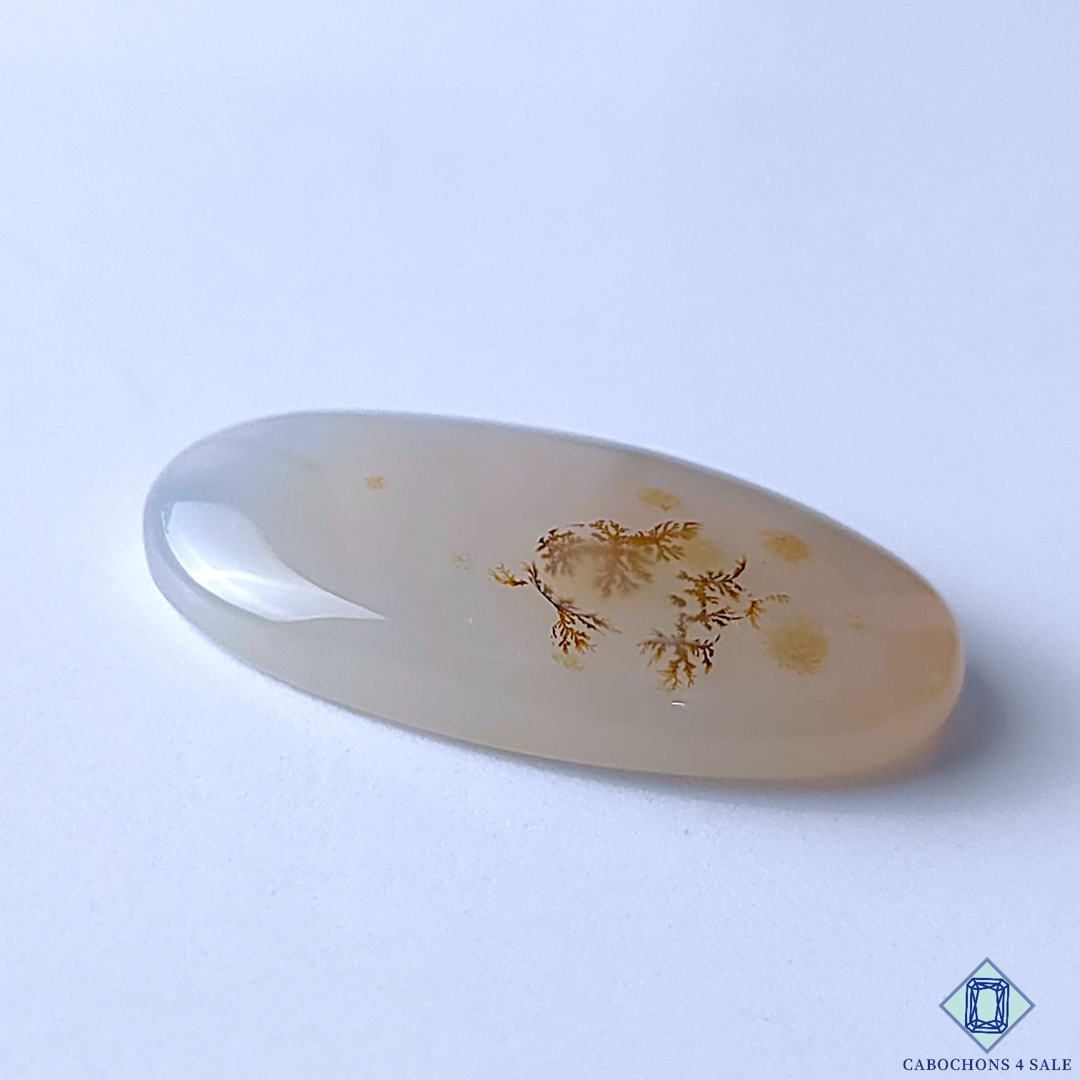 Scenic Agate