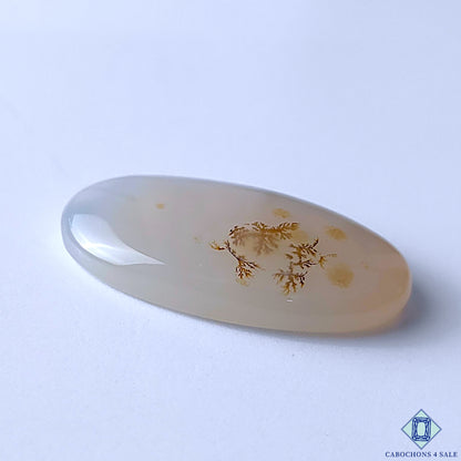 Scenic Agate
