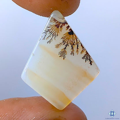 Scenic Agate