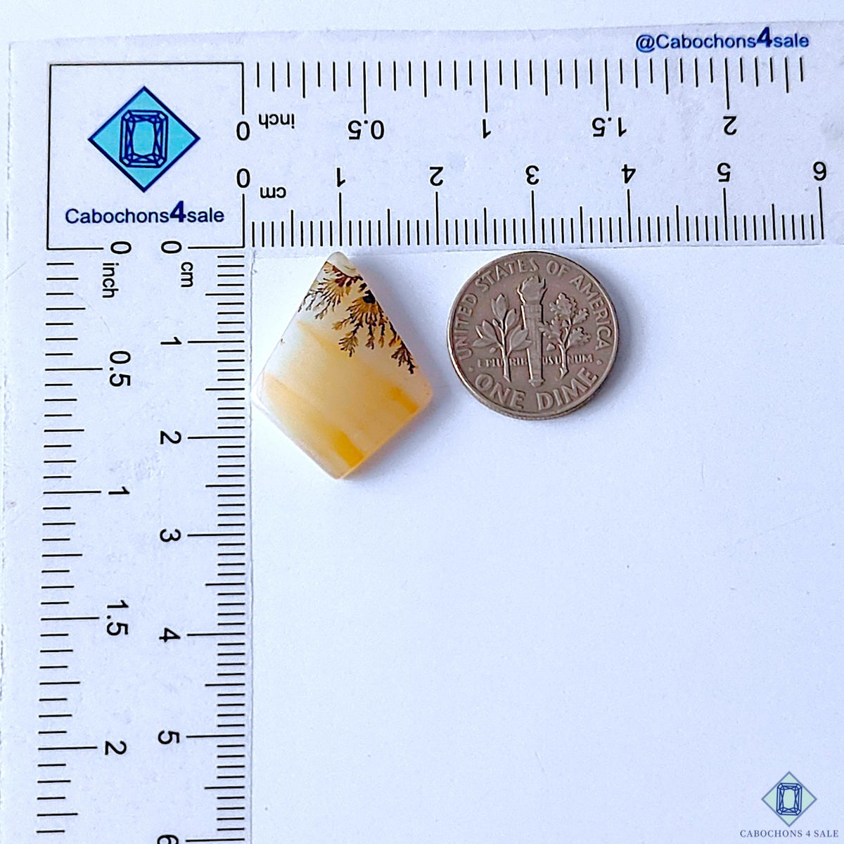 0-Scenic_Agate-C4sw22976-2-Fancy-Brown-mm-Cabochons-Opaque-0
