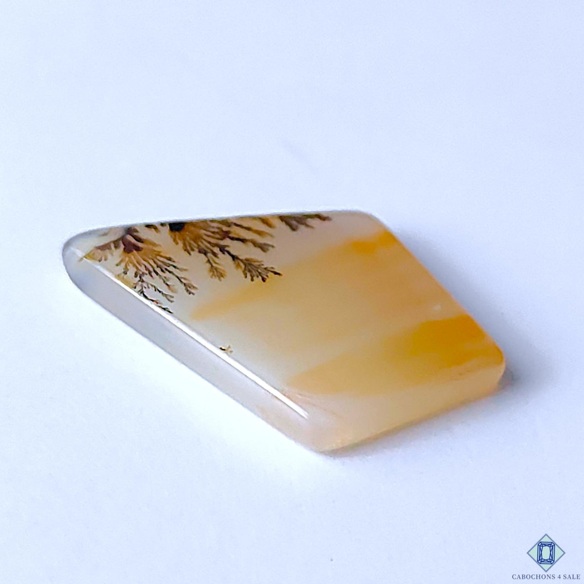 0-Scenic_Agate-C4sw22976-3-Fancy-Brown-mm-Cabochons-Opaque-0