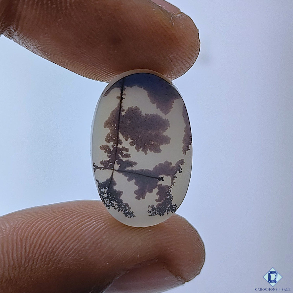 Scenic Agate
