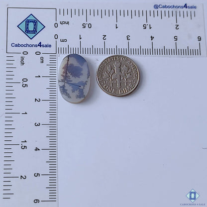 Scenic Agate