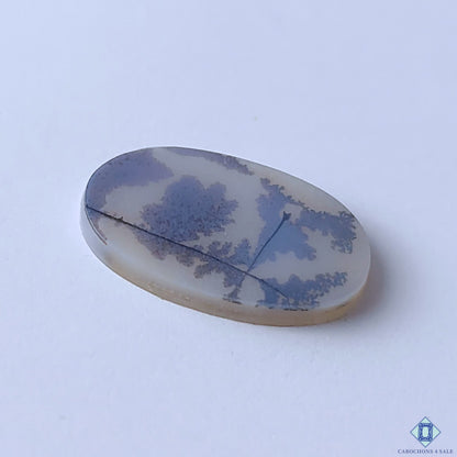 Scenic Agate