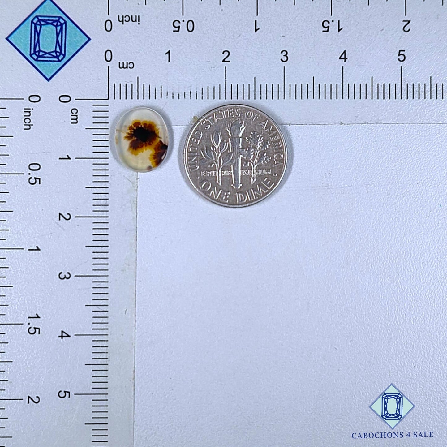 Natural Scenic Agate Gemstone  Oval Cabochons 11*9*1mm from Brazil available for sale