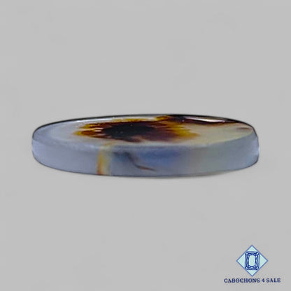 Natural Scenic Agate Gemstone  Oval Cabochons 11*9*1mm from Brazil available for sale