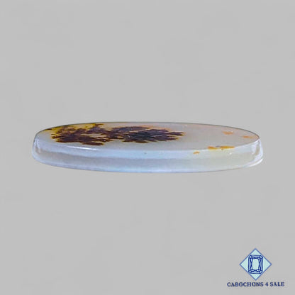 Cabujones ovalados de ágata escénica natural de 18 x 13 x 2 mm, de Brasil, disponibles para la venta.