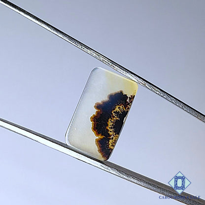Scenic Agate