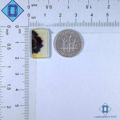 Natural Scenic Agate Gemstone  Fancy Cabochons 18*11*2mm from Brazil available for sale