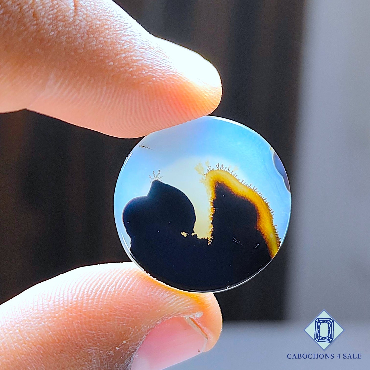 Scenic Agate