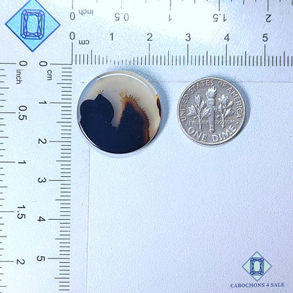 Natural Scenic Agate Gemstone  Round Cabochons 21*3mm from Brazil available for sale