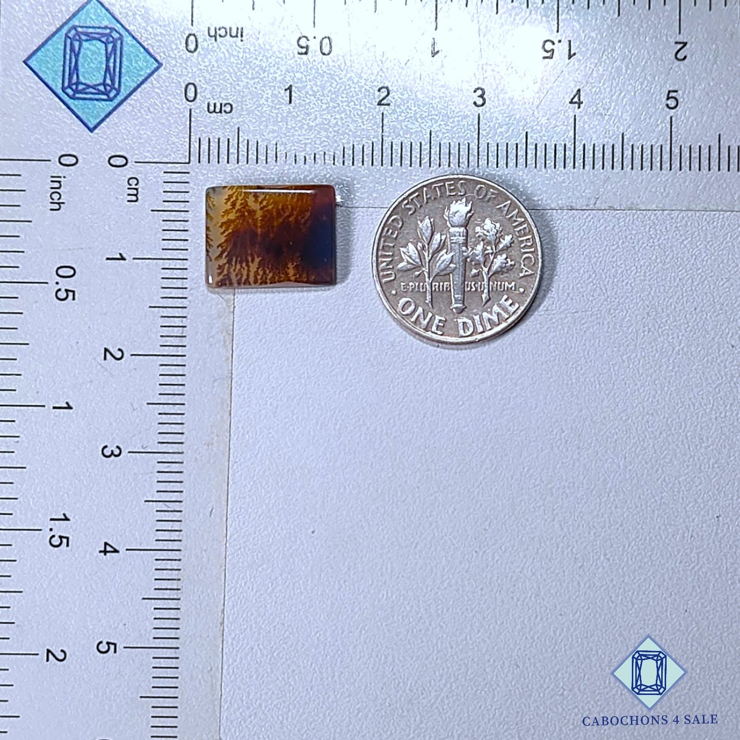 Natural Scenic Agate Gemstone  Rectangle Cabochons 13*10*2mm from Brazil available for sale
