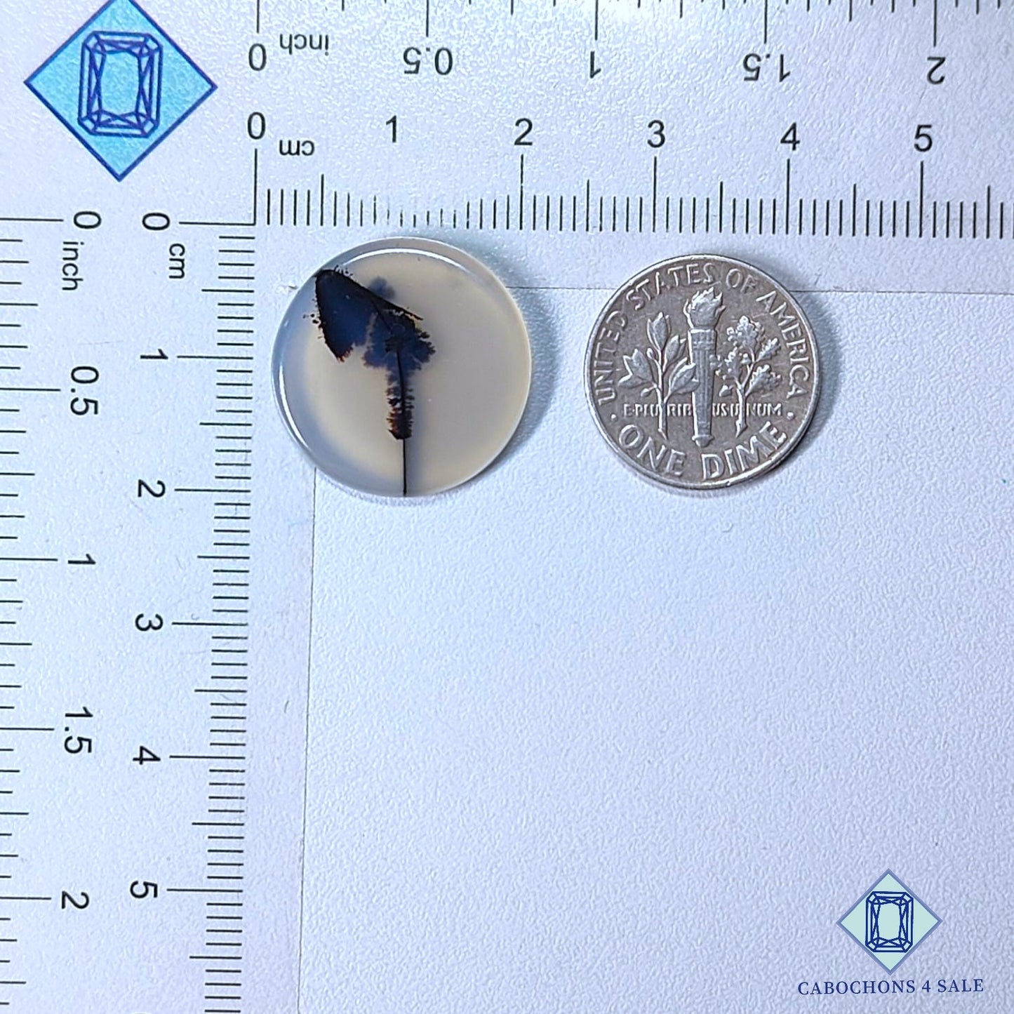 Natural Scenic Agate Gemstone  Round Cabochons 19*2mm from Brazil available for sale