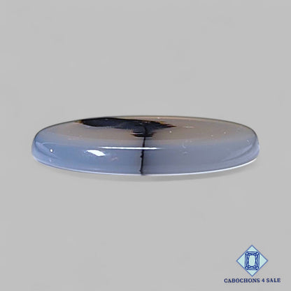 Natural Scenic Agate Gemstone  Round Cabochons 19*2mm from Brazil available for sale