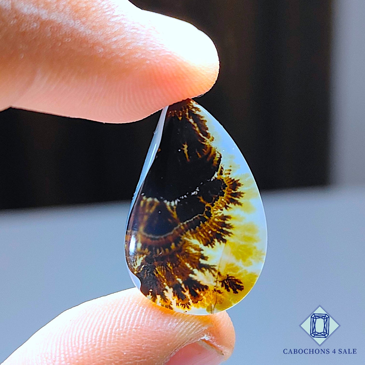 Scenic Agate