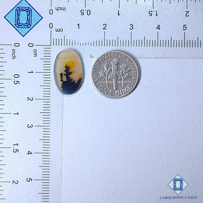 Natural Scenic Agate Gemstone  Oval Cabochons 16*10*2mm from Brazil available for sale
