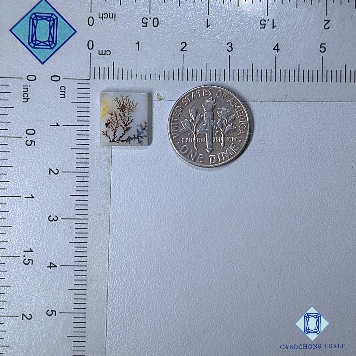 Natural Scenic Agate Gemstone  Fancy Cabochons 11*10*2mm from Brazil available for sale