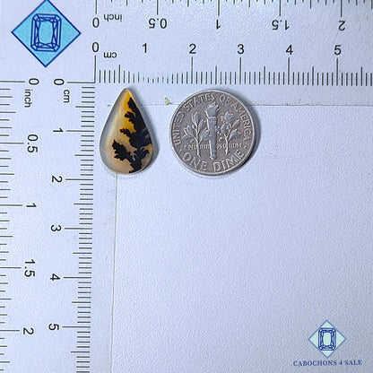 Natural Scenic Agate Gemstone  Pear Cabochons 18*11*2mm from Brazil available for sale