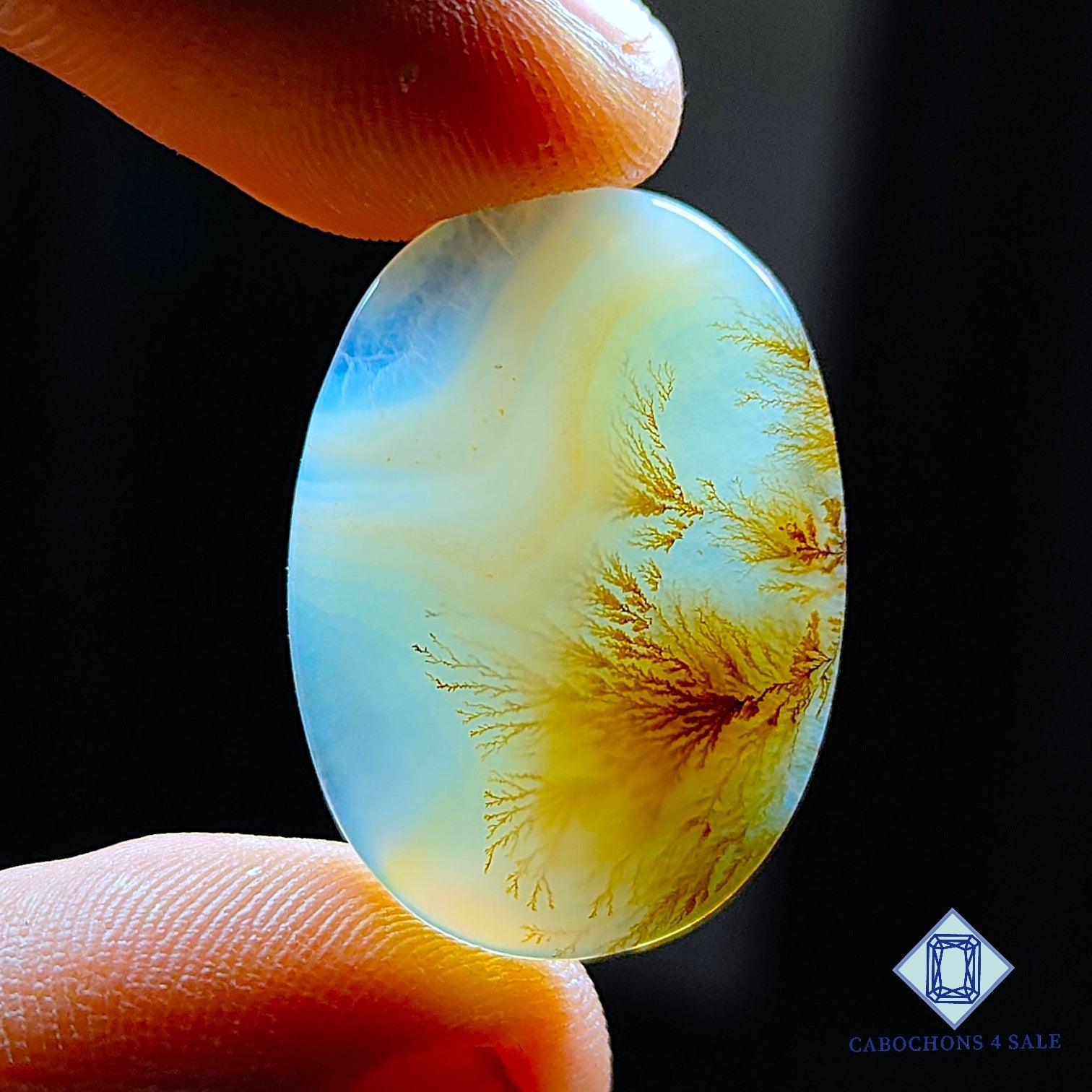 Scenic Agate