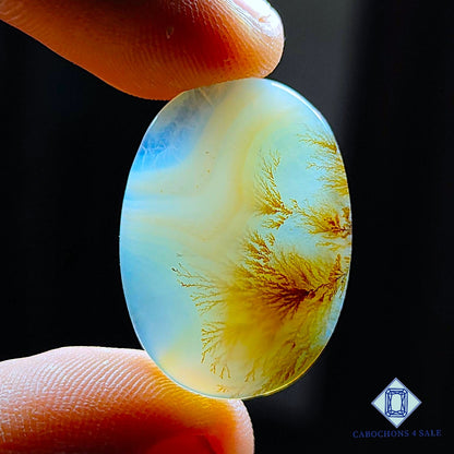 Scenic Agate