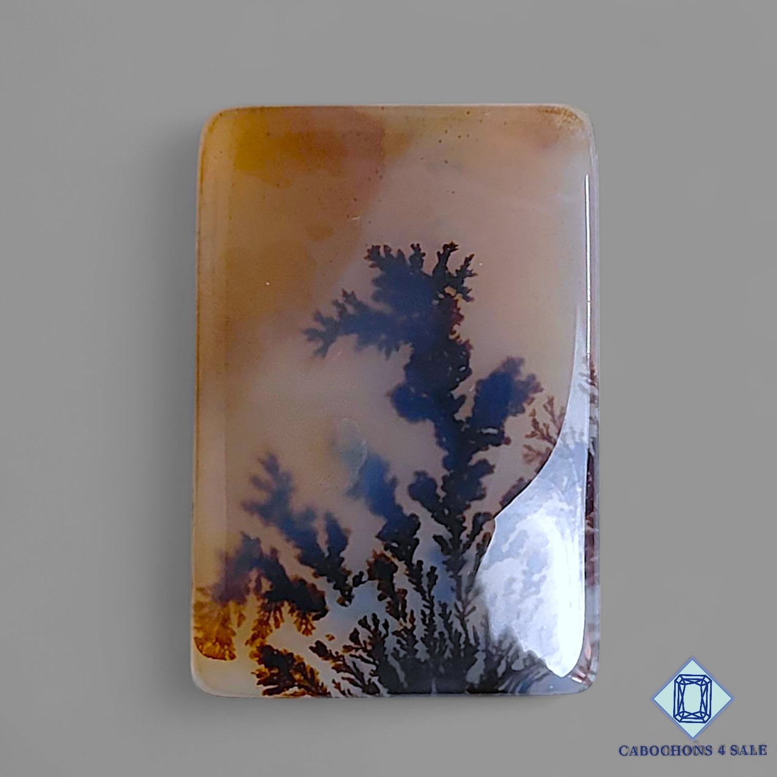 Scenic Agate