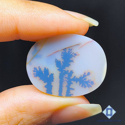 Scenic Agate