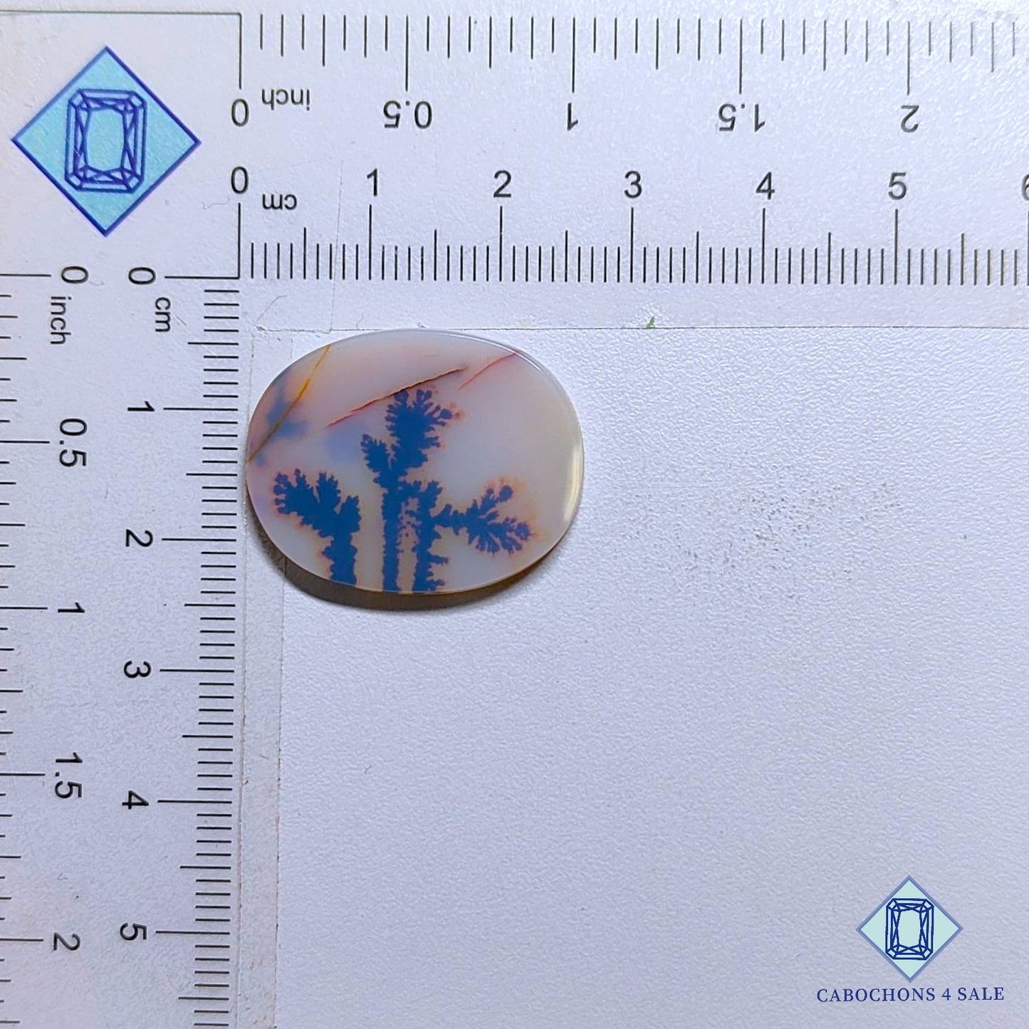 Natural Scenic Agate Gemstone  Oval Cabochons 25*20*2mm from Brazil available for sale