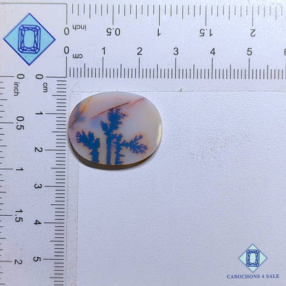 Natural Scenic Agate Gemstone  Oval Cabochons 25*20*2mm from Brazil available for sale