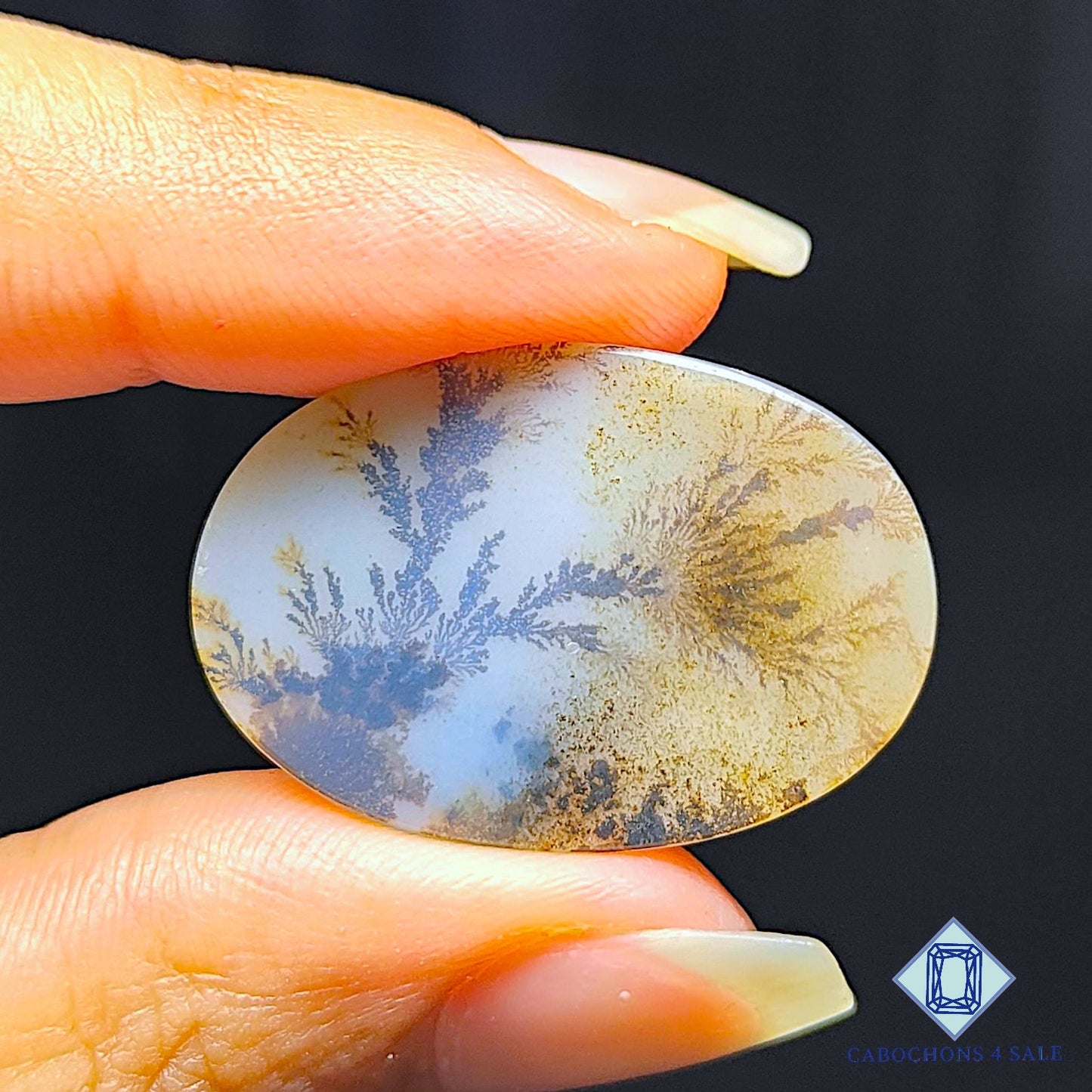 Scenic Agate