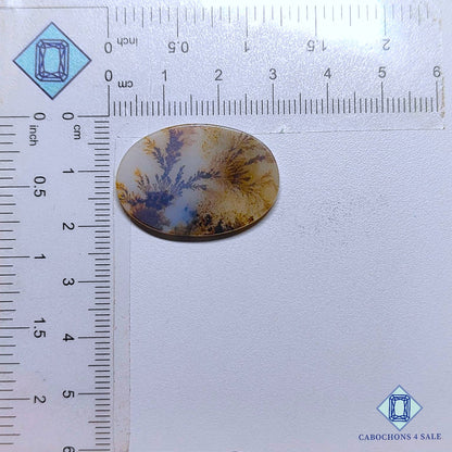 Natural Scenic Agate Gemstone  Oval Cabochons 29*20*2mm from Brazil available for sale