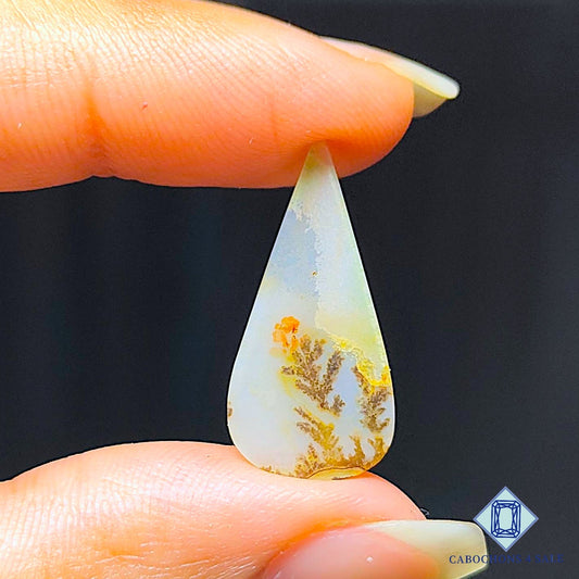 Scenic Agate