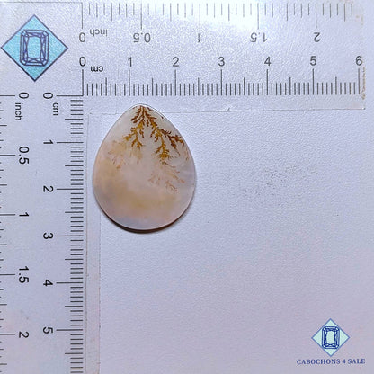 Natural Scenic Agate Gemstone  Pear Cabochons 27*22*2mm from Brazil available for sale