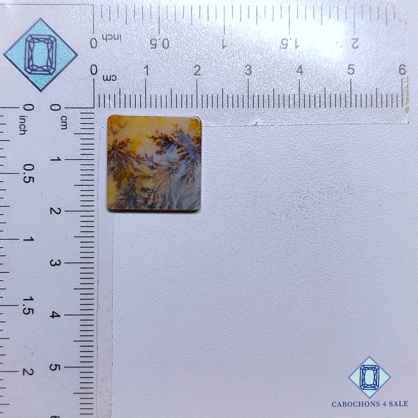 Cabujones de ágata escénica natural de 18 x 2 mm, de Brasil, disponibles para la venta.