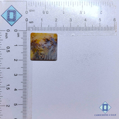 Cabujones de ágata escénica natural de 18 x 2 mm, de Brasil, disponibles para la venta.
