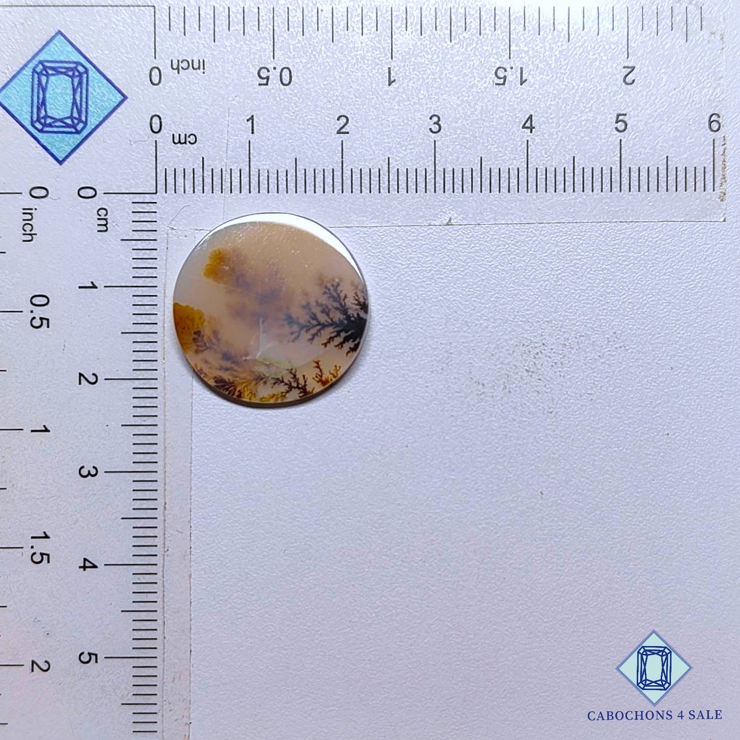 Natural Scenic Agate Gemstone  Round Cabochons 21*3mm from Brazil available for sale