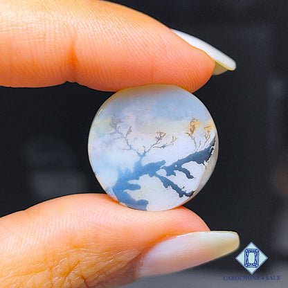 Scenic Agate