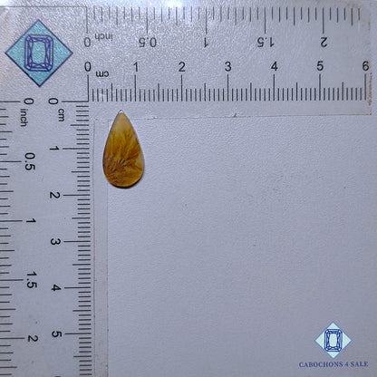 Natural Scenic Agate Gemstone  Pear Cabochons 16*8*1mm from Brazil available for sale