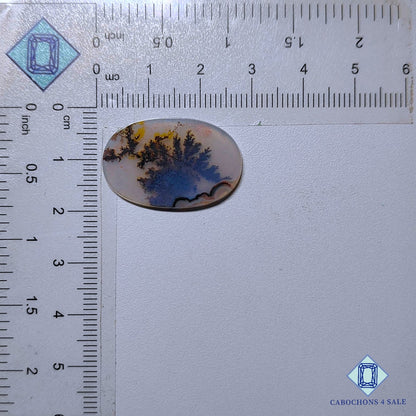 Natural Scenic Agate Gemstone  Oval Cabochons 27*17*2mm from Brazil available for sale