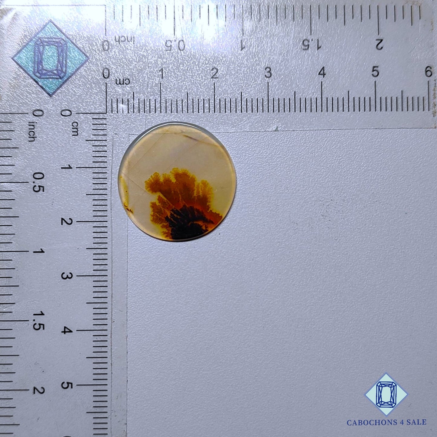 Natural Scenic Agate Gemstone  Round Cabochons 22*1mm from Brazil available for sale