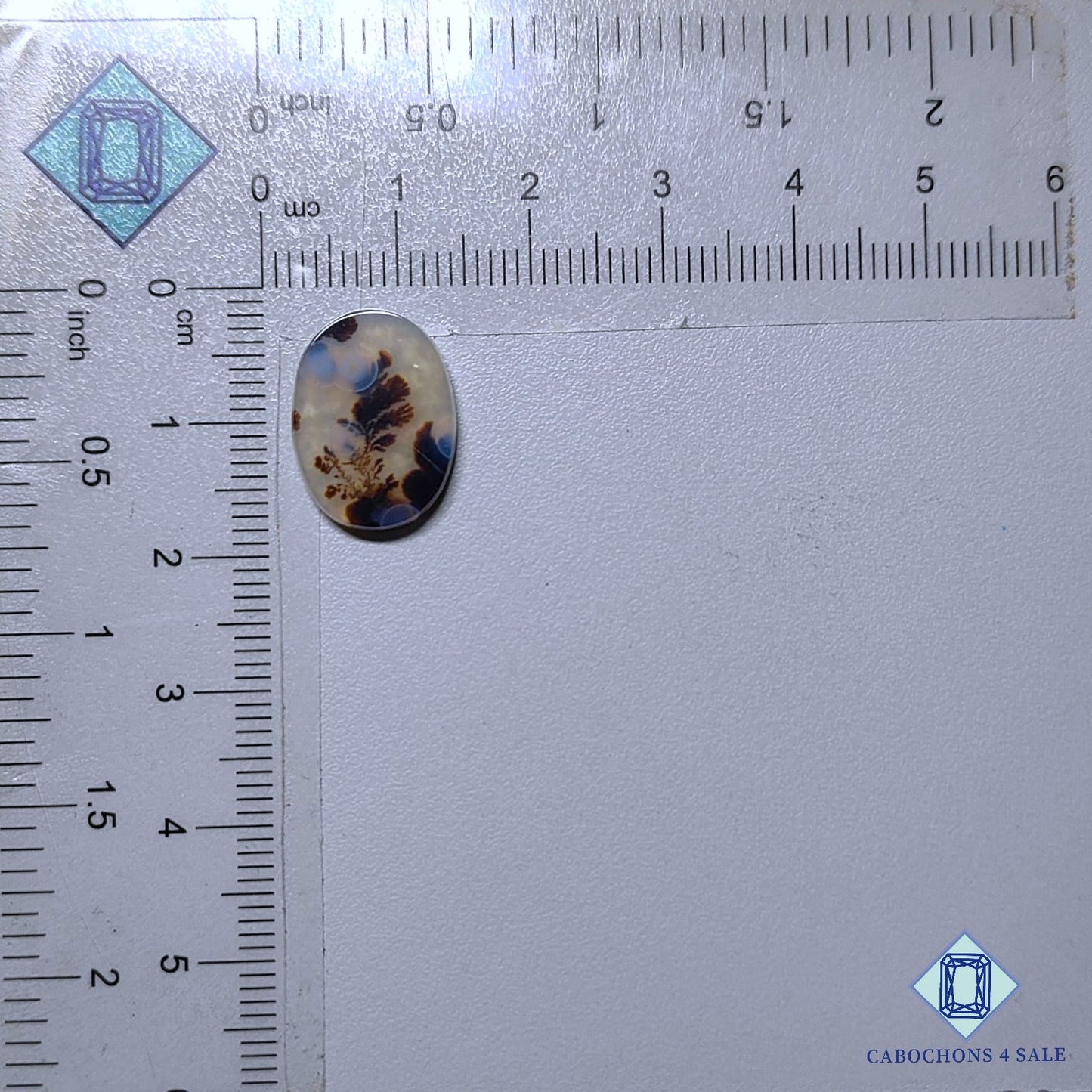 Natural Scenic Agate Gemstone  Oval Cabochons 16*12*2mm from Brazil available for sale