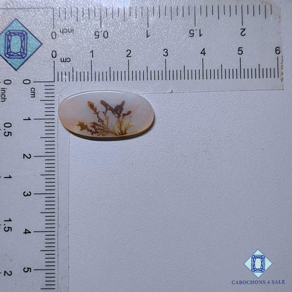 Natural Scenic Agate Gemstone  Oval Cabochons 25*12*2mm from Brazil available for sale