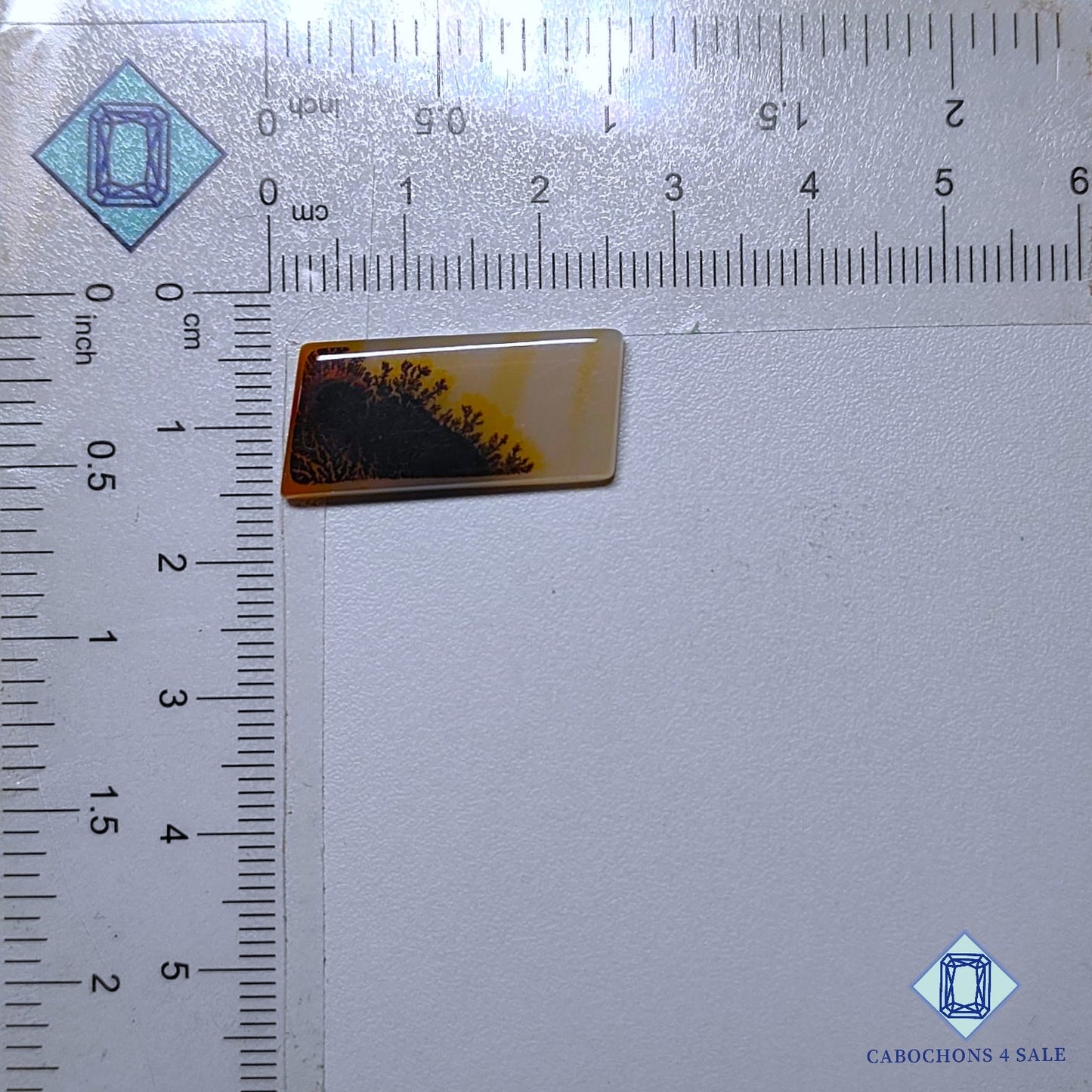 Natural Scenic Agate Gemstone  Fancy Cabochons 24*11*3mm from Brazil available for sale