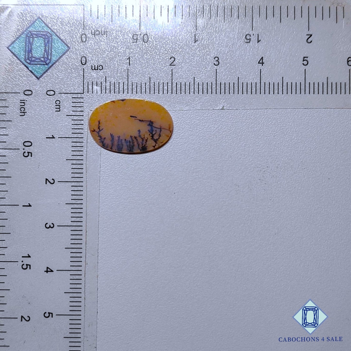 Natural Scenic Agate Gemstone  Oval Cabochons 19*12*1mm from Brazil available for sale