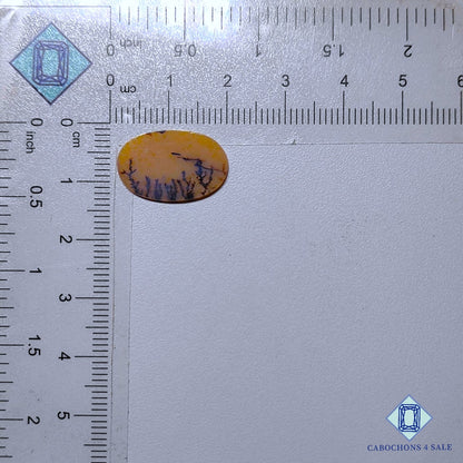 Natural Scenic Agate Gemstone  Oval Cabochons 19*12*1mm from Brazil available for sale