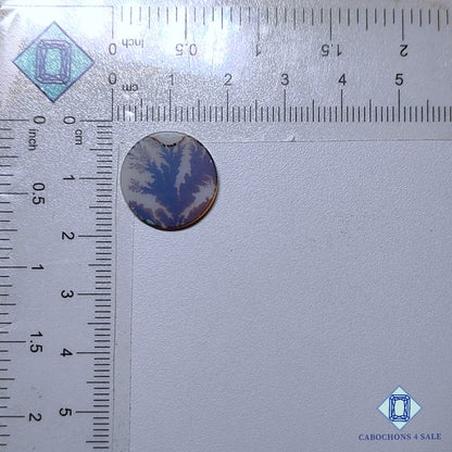 Natural Scenic Agate Gemstone  Round Cabochons 16*1mm from Brazil available for sale