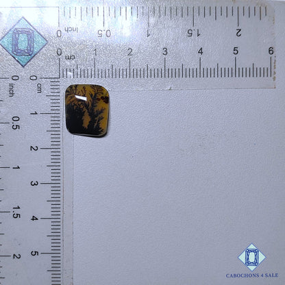 Natural Scenic Agate Gemstone  Fancy Cabochons 14*12*3mm from Brazil available for sale